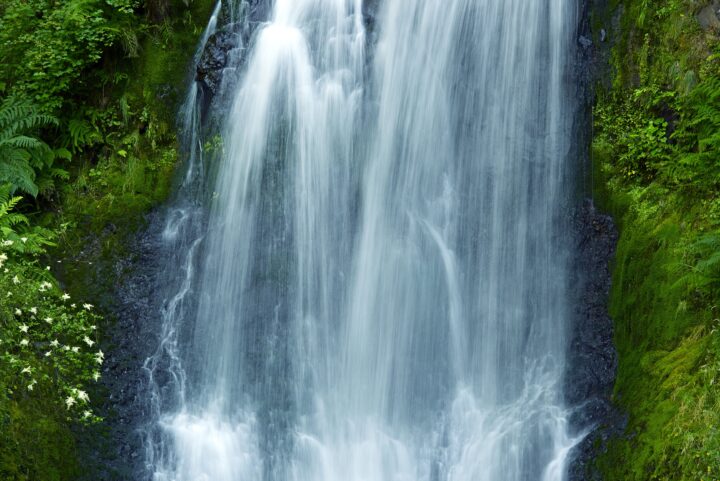 Small plants grow in the spray zone around a waterfall