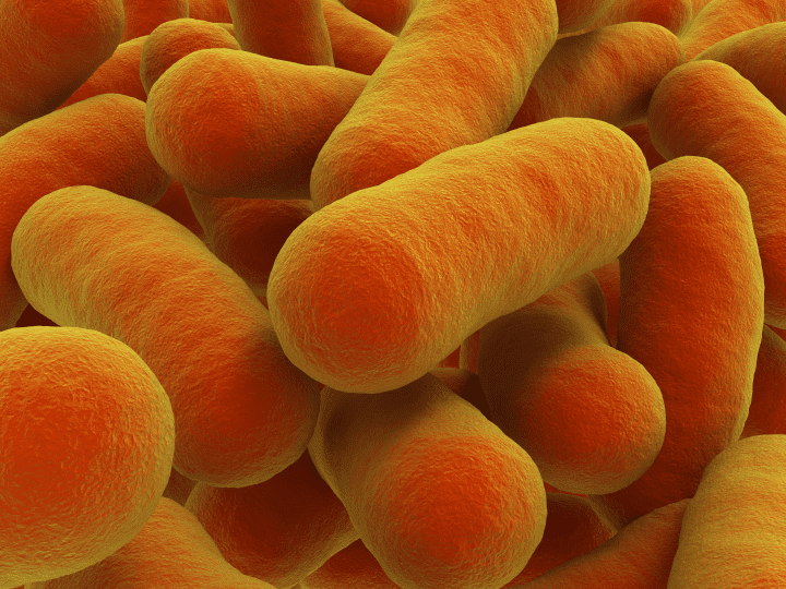 3d image of orange bacteria