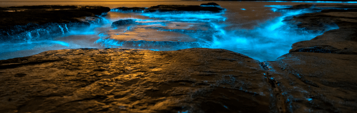 photograph of bioluminescent bay at sunset