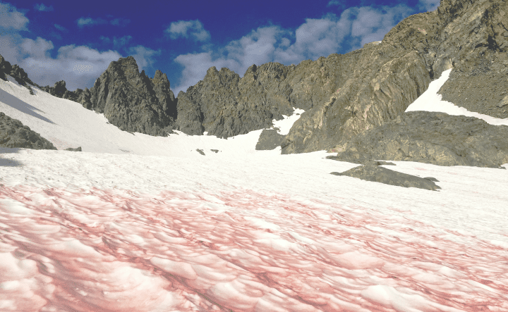 photograph of red and white snow covered ground in front of mountains